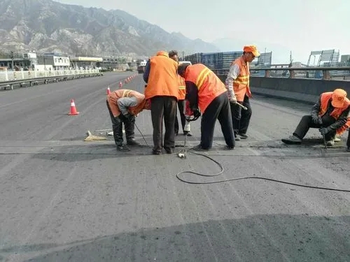 东湖道路桥梁病害治理